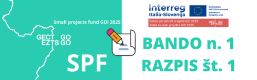 Pubblicato il primo bando GO!2025